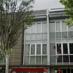 Puay Hee Avenue (D13), Terrace #604966461
